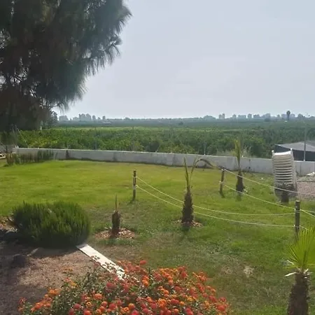 Casa de Férias Finca A Las Estrellas Tavernes Valldigna